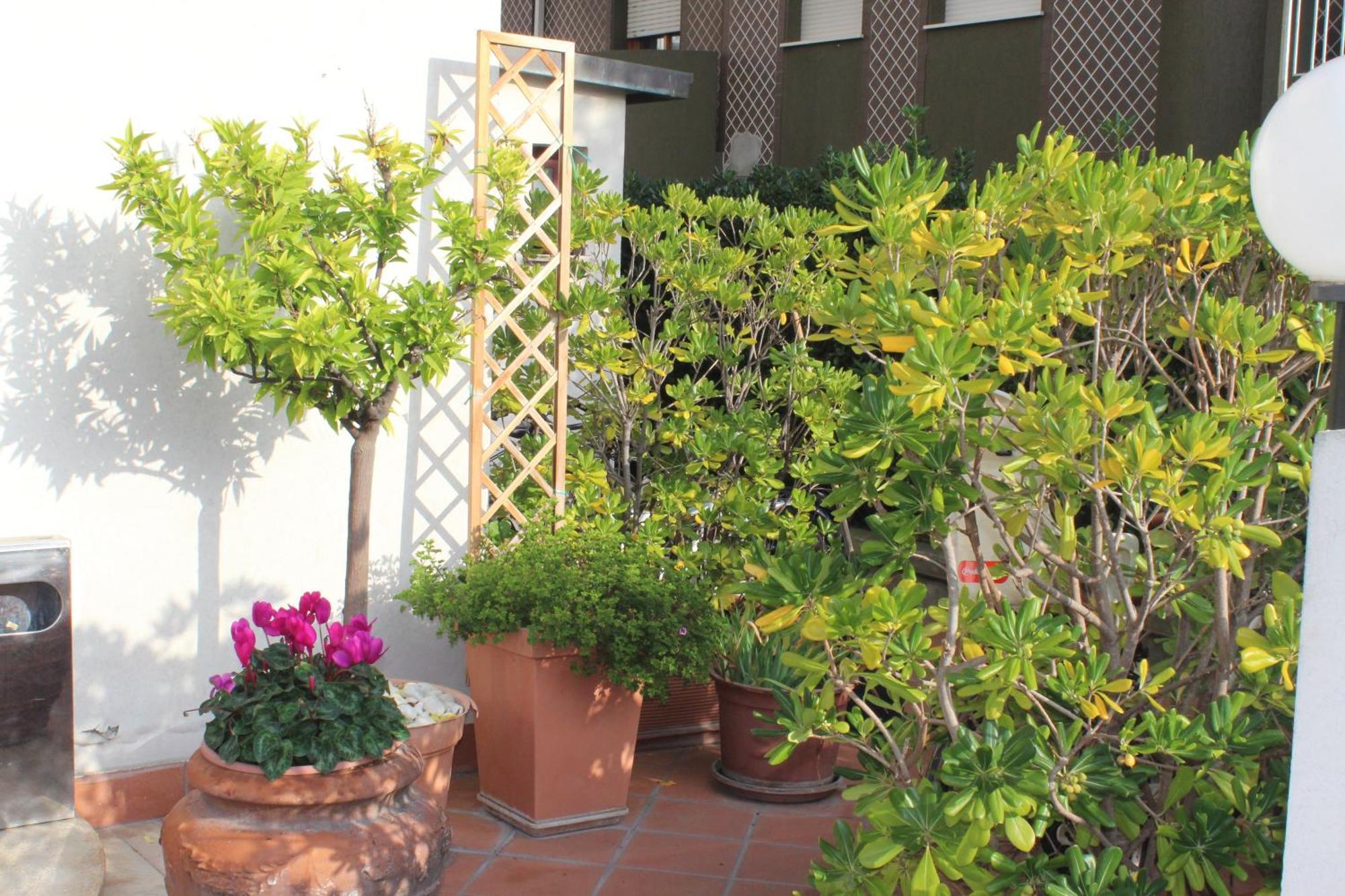 רימיני Arcangelo Roof Hotel מראה חיצוני תמונה